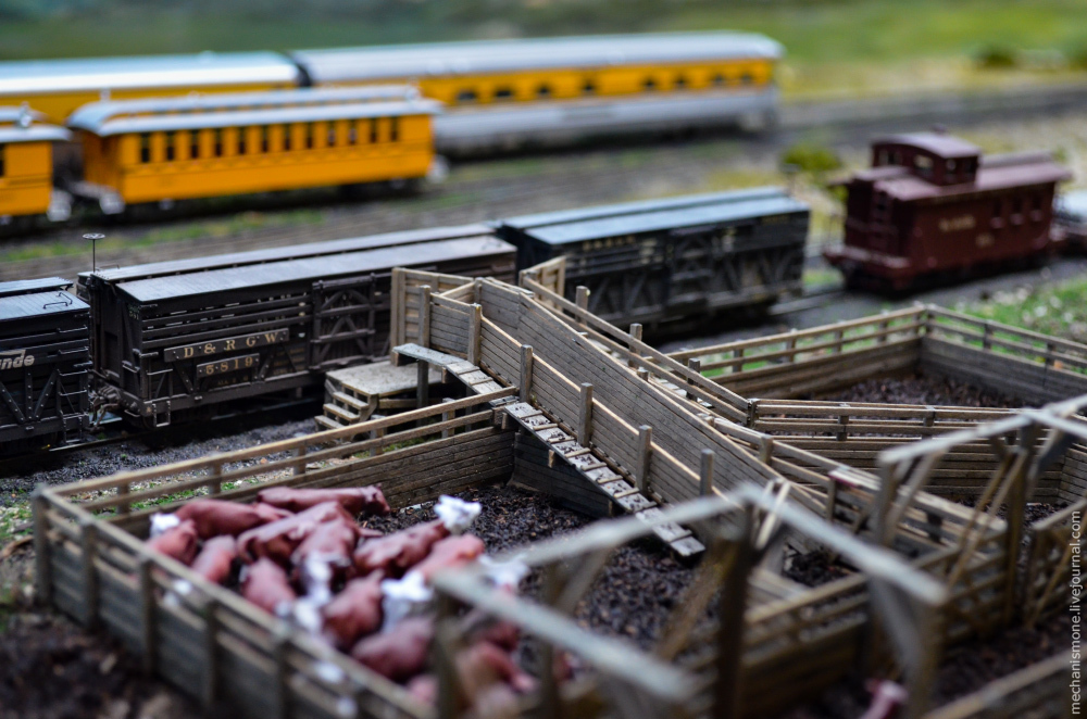 Model Railroad - Railway, , Hobby, Longpost