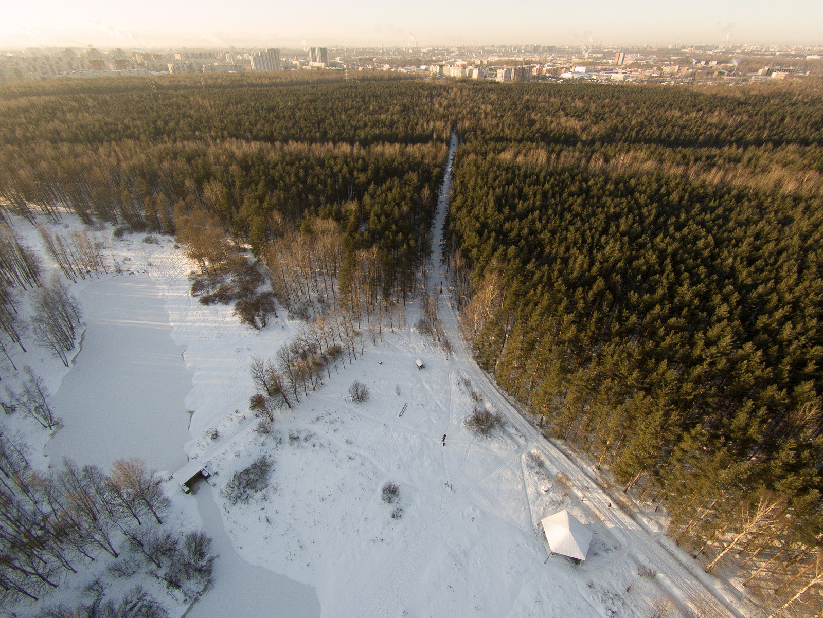 Rzhevsky forest park from a bird's eye view (06.12.2016) - My, Quadcopter, Saint Petersburg, Photo, Drone, Rzhevsky forest park, Forest, Longpost