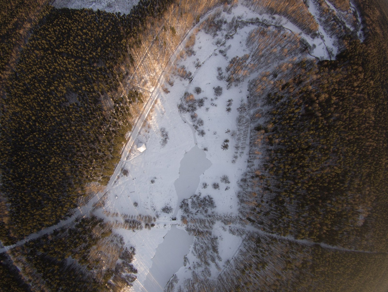 Rzhevsky forest park from a bird's eye view (06.12.2016) - My, Quadcopter, Saint Petersburg, Photo, Drone, Rzhevsky forest park, Forest, Longpost