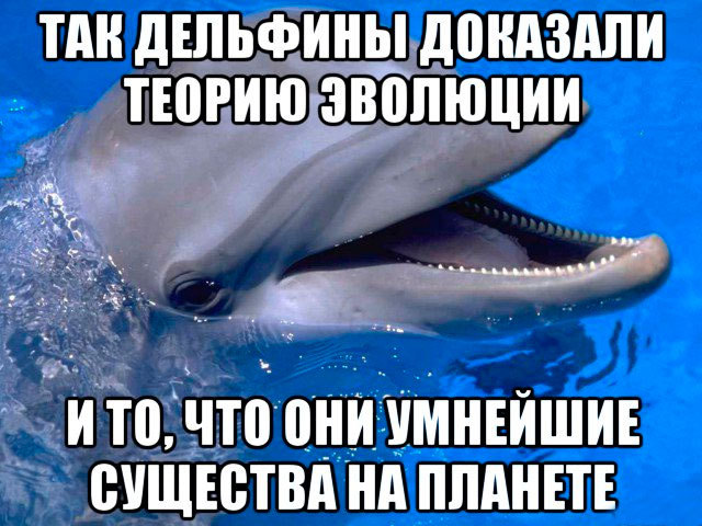 Как киты оказались родственниками парнокопытных - Моё, Эволюция, Палеонтология, Животные, Наука, Кайнозой, Кит, Дельфин, Длиннопост