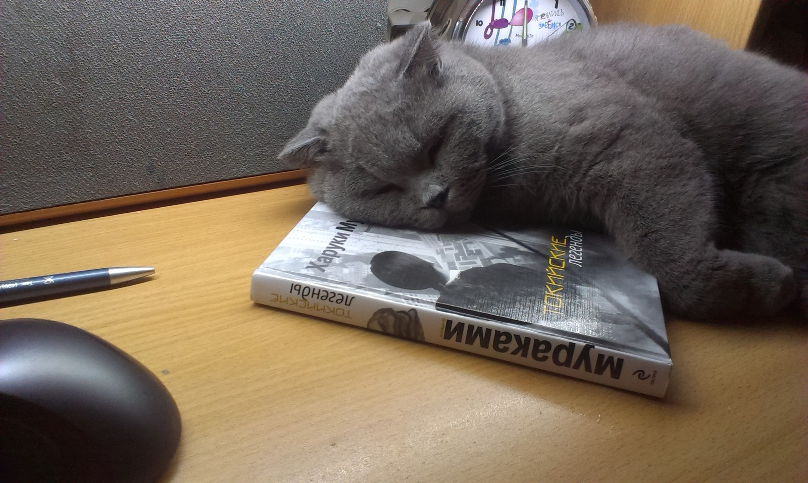 Literary - My, cat, Literature, Haruki Murakami