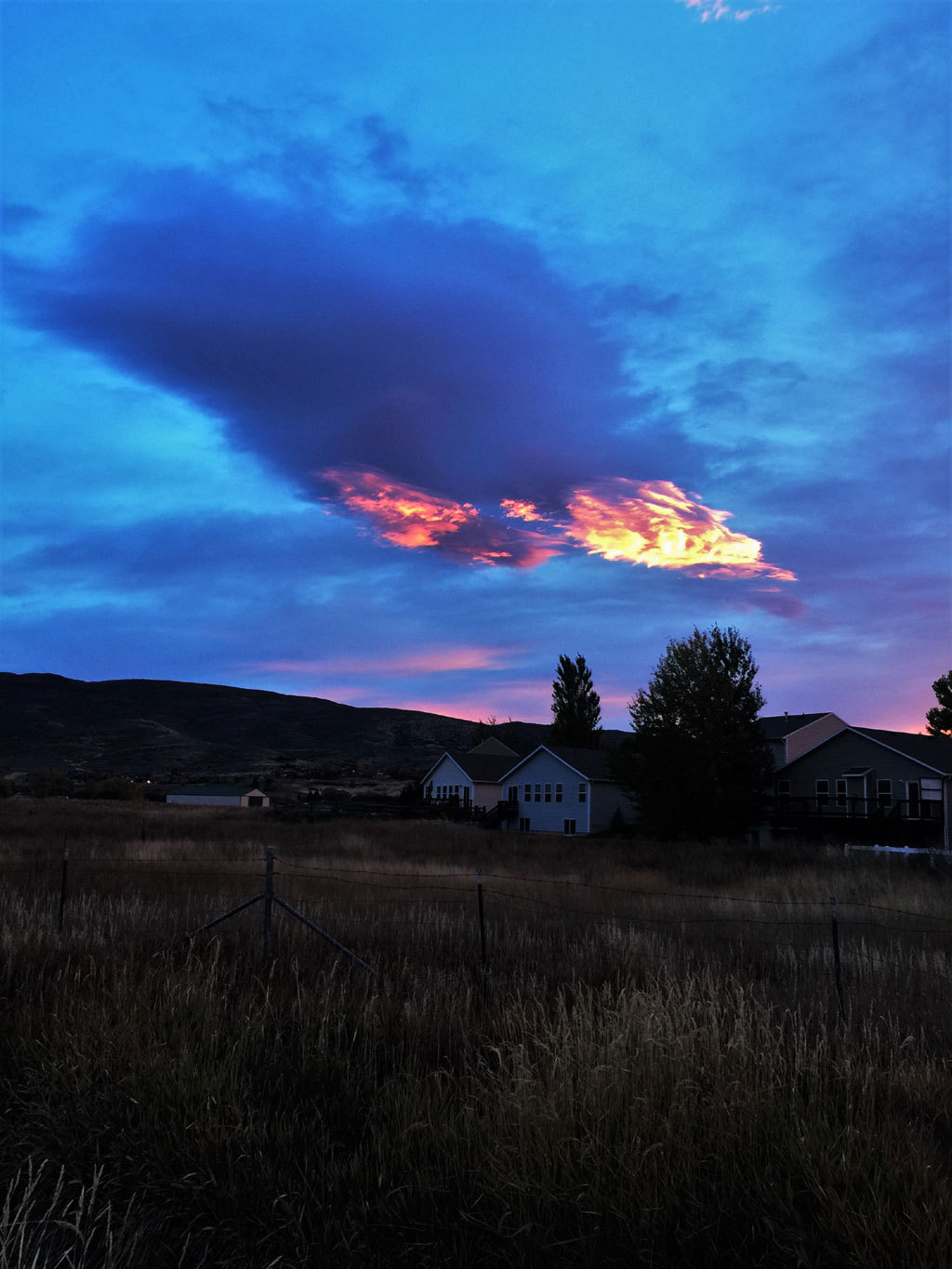 Fire in the Sky - Photo, Sky, The sun, Clouds, Phoenix, Sunset