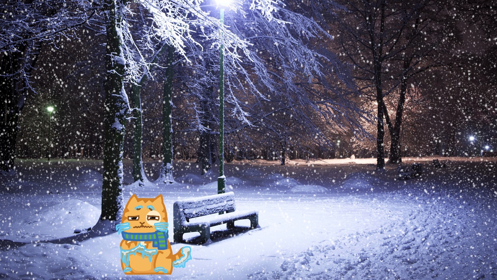 Winter Peach - Winter, cat, Images, Longpost, Stickers Cat Peach