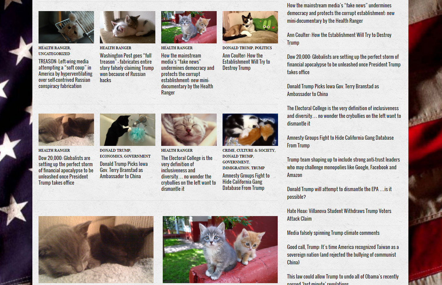 Google Chrome extension replaces Trump photos with ... KITTENS! - Donald Trump, Chrome extension, cat