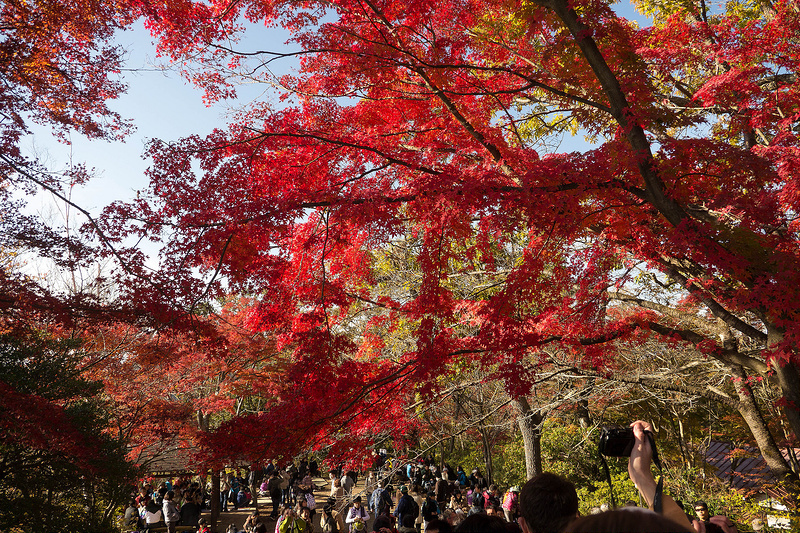 Cities and villages of Tokyo (many photos) - My, Japan, Tokyo, Video, Longpost