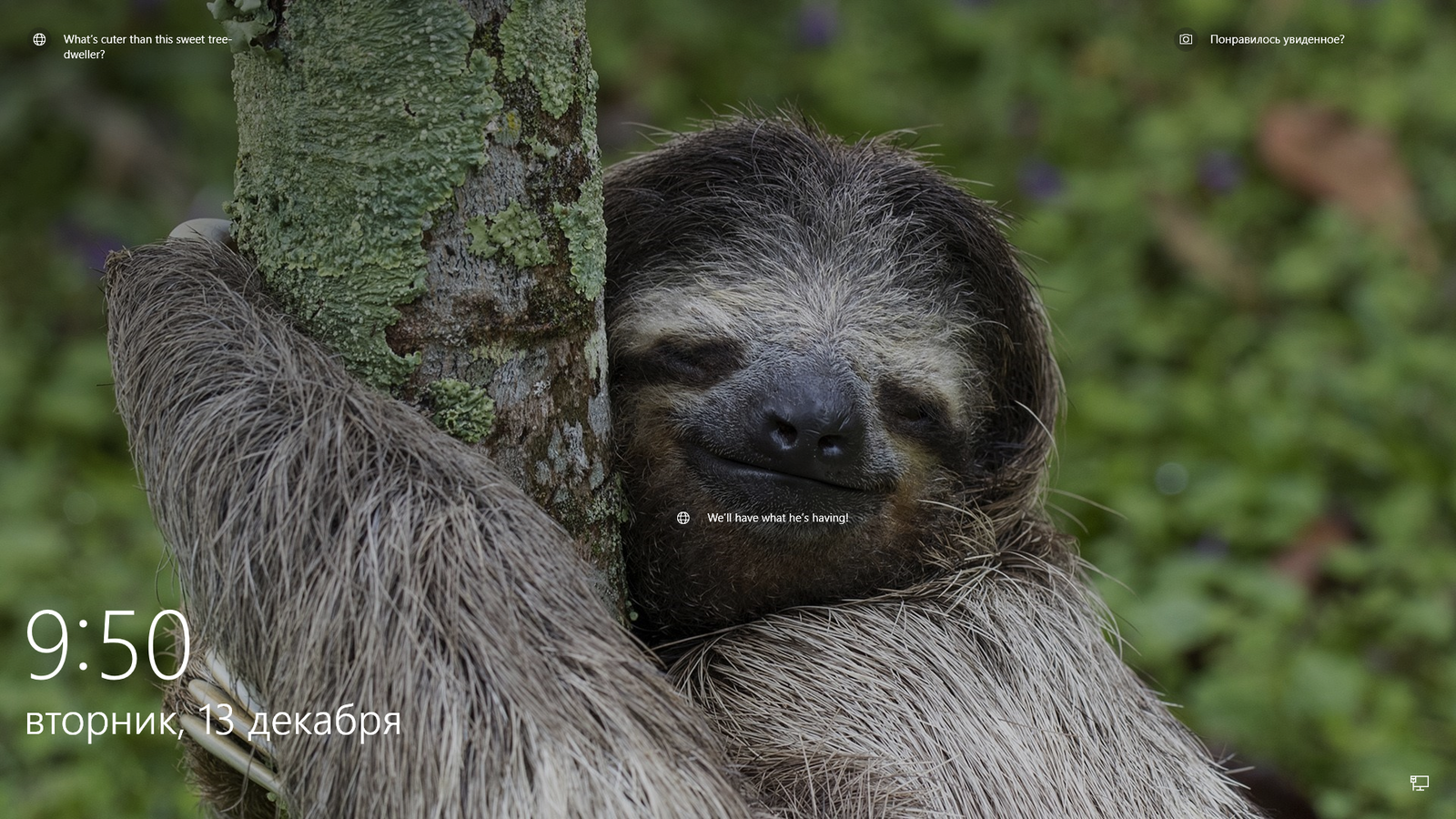 The working computer greeted me in the morning, I understood the hint! - My, Work, Sloth, Windows 10