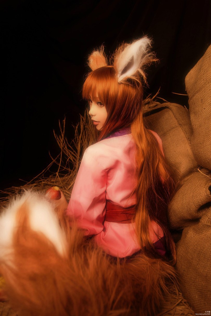 Cosplay based on the anime Spice and Wolf - Cosplay, Anime, Milota, Longpost