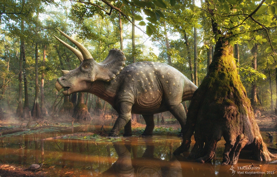 Ceratopsians are rhinos of the Mesozoic era. - My, Dinosaurs, Paleontology, , Diversity, Longpost