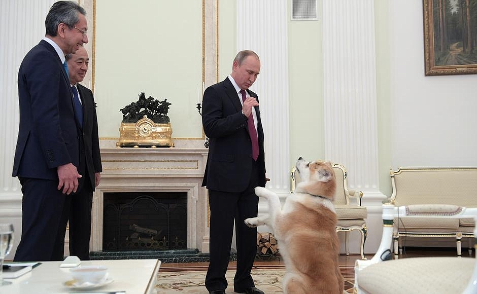 Putin and the Japanese dog - Vladimir Putin, Dog, Politics, The president, Japan, Longpost