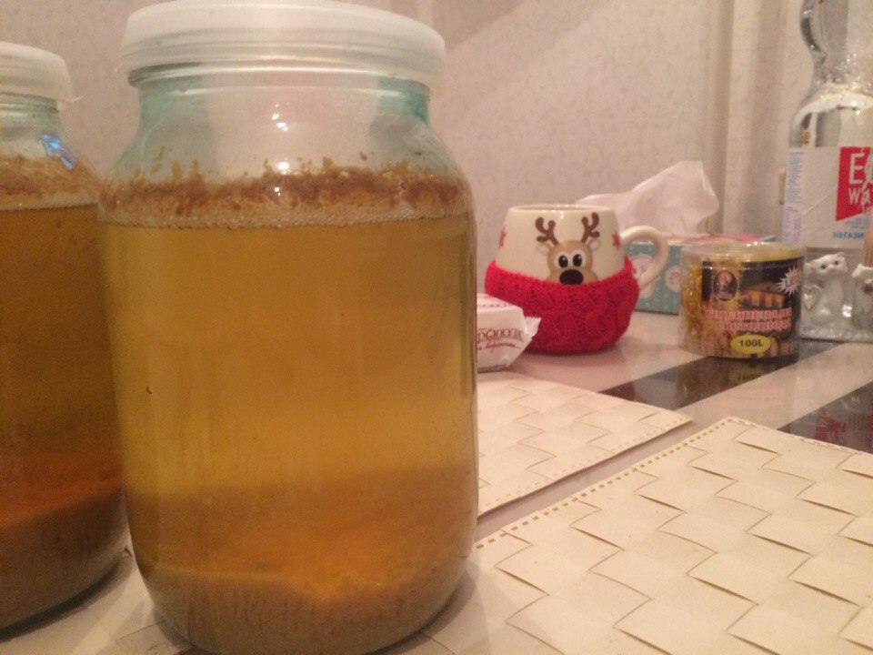 Home cider. - My, Cider, , Fermentation, Winter, Happened, My, Longpost