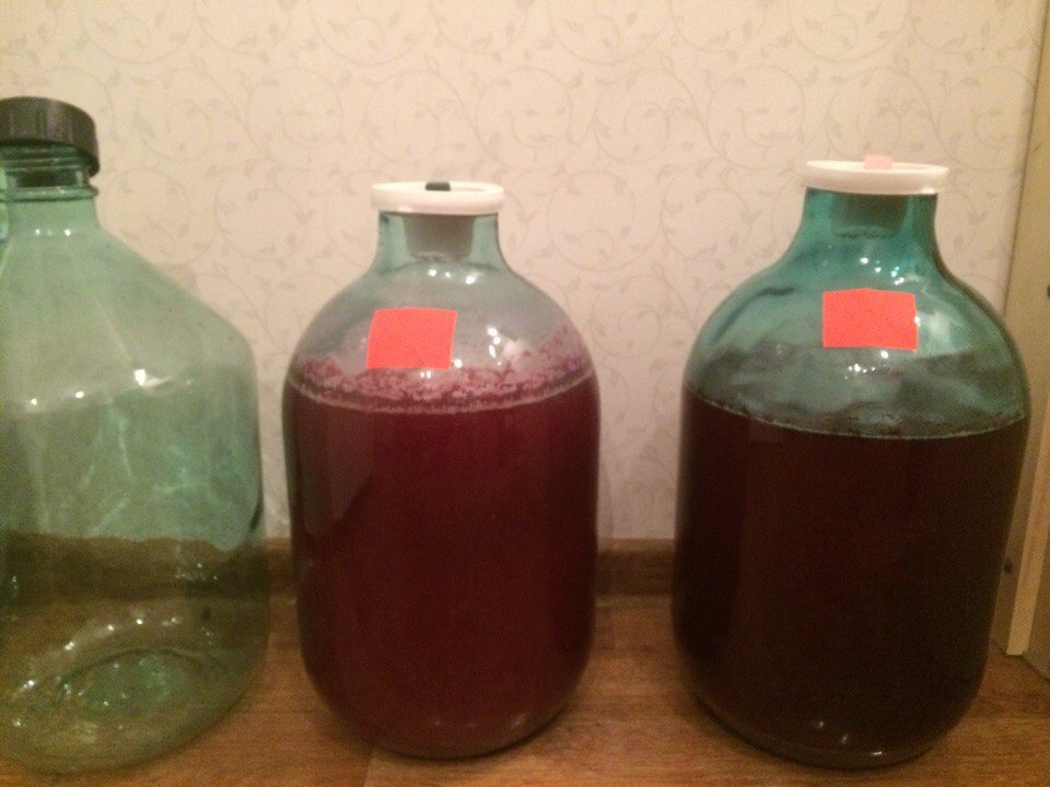 Home cider. - My, Cider, , Fermentation, Winter, Happened, My, Longpost