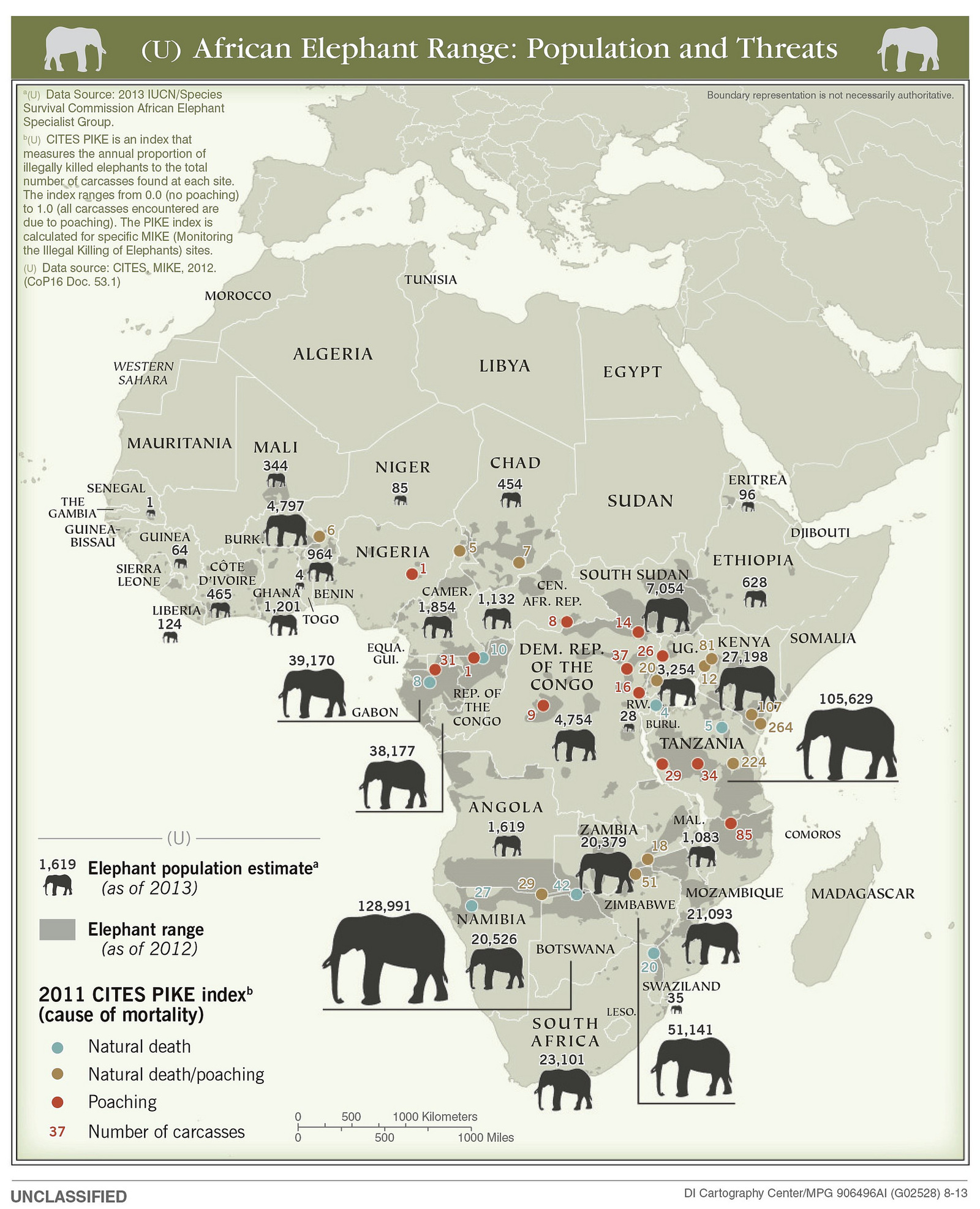 African elephant population - Africa, Elephants, Population