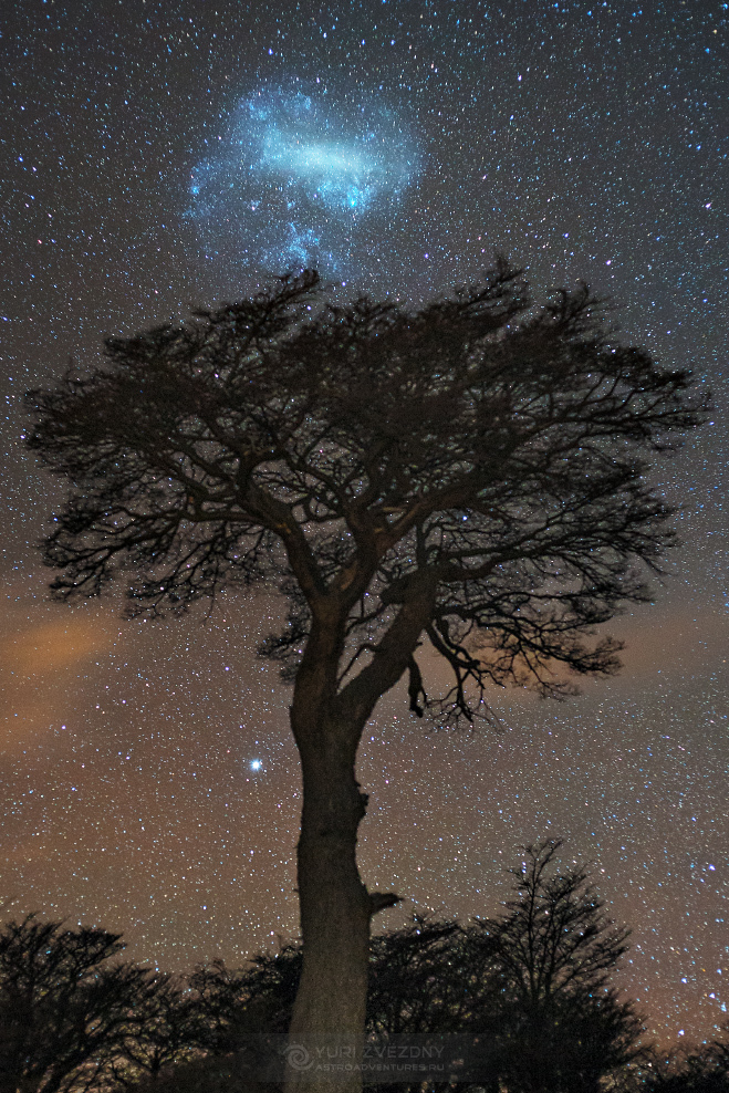 The sky is closer than it seems. - Magellanic Clouds, Patagonia