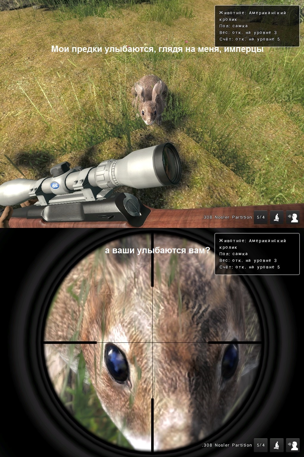 The hunter. - My, , Rabbit, Hunter Simulator, The Elder Scrolls V: Skyrim