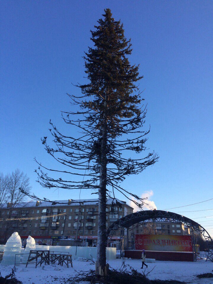 Вот такую ёлочку поставили в моем городе на главной площади.Копейск. - Моё, Копейск, Новогодняя елка, Праздники, Новый Год