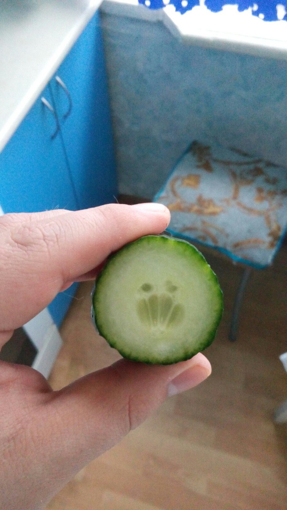 Angry Cucumber - My, Vegetables, Cucumbers