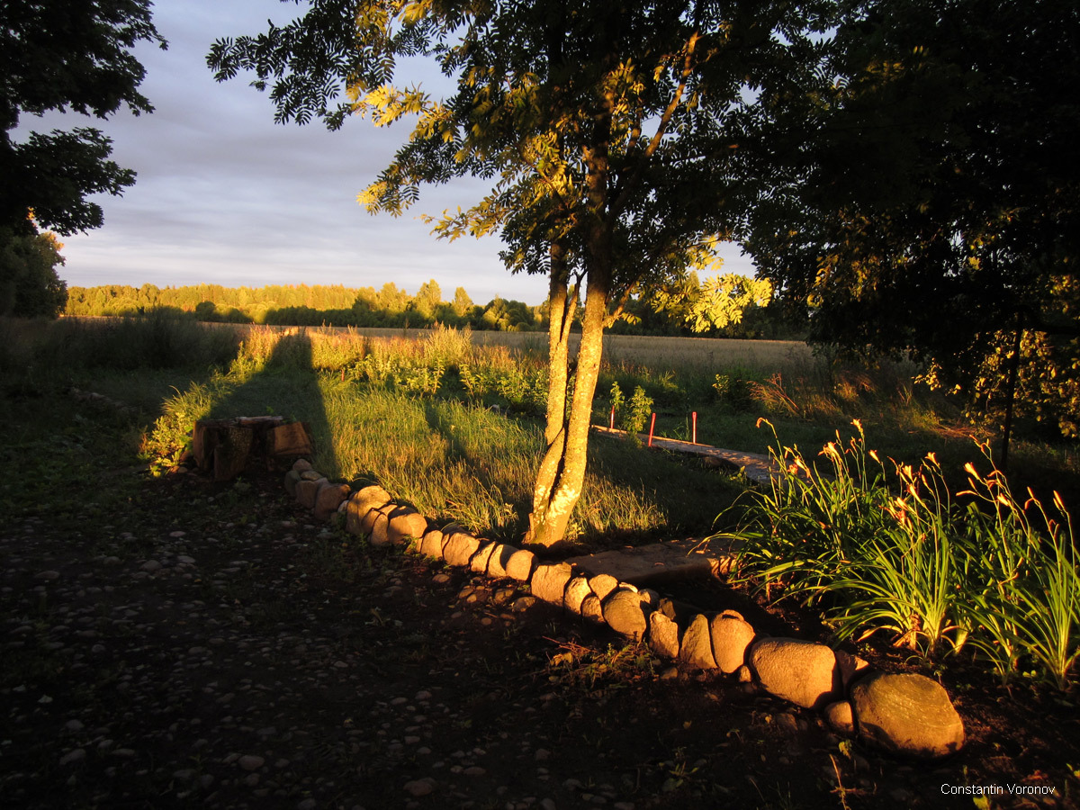 Photos from the farm 2 - My, Photo, Landscape, Nature, Sunset, Evening, Tree, Longpost