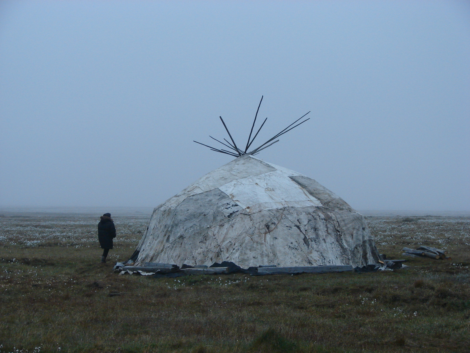 Yaranga on the island of Aion, 140 km from Pevek. - Chukotka, North, Arctic, Swimming, Yaranga, Reindeer herder, Chukchi