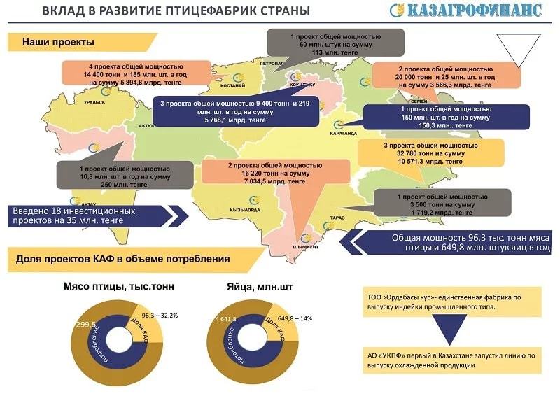 Как работают современные птицефабрики Казахстана. - Птицефабрика, Птицы, Мясо, Гринпис не входить, Веганы, Бренды, Еда, Сделано в Казахстане, Длиннопост, Птицеферма, Казахстан