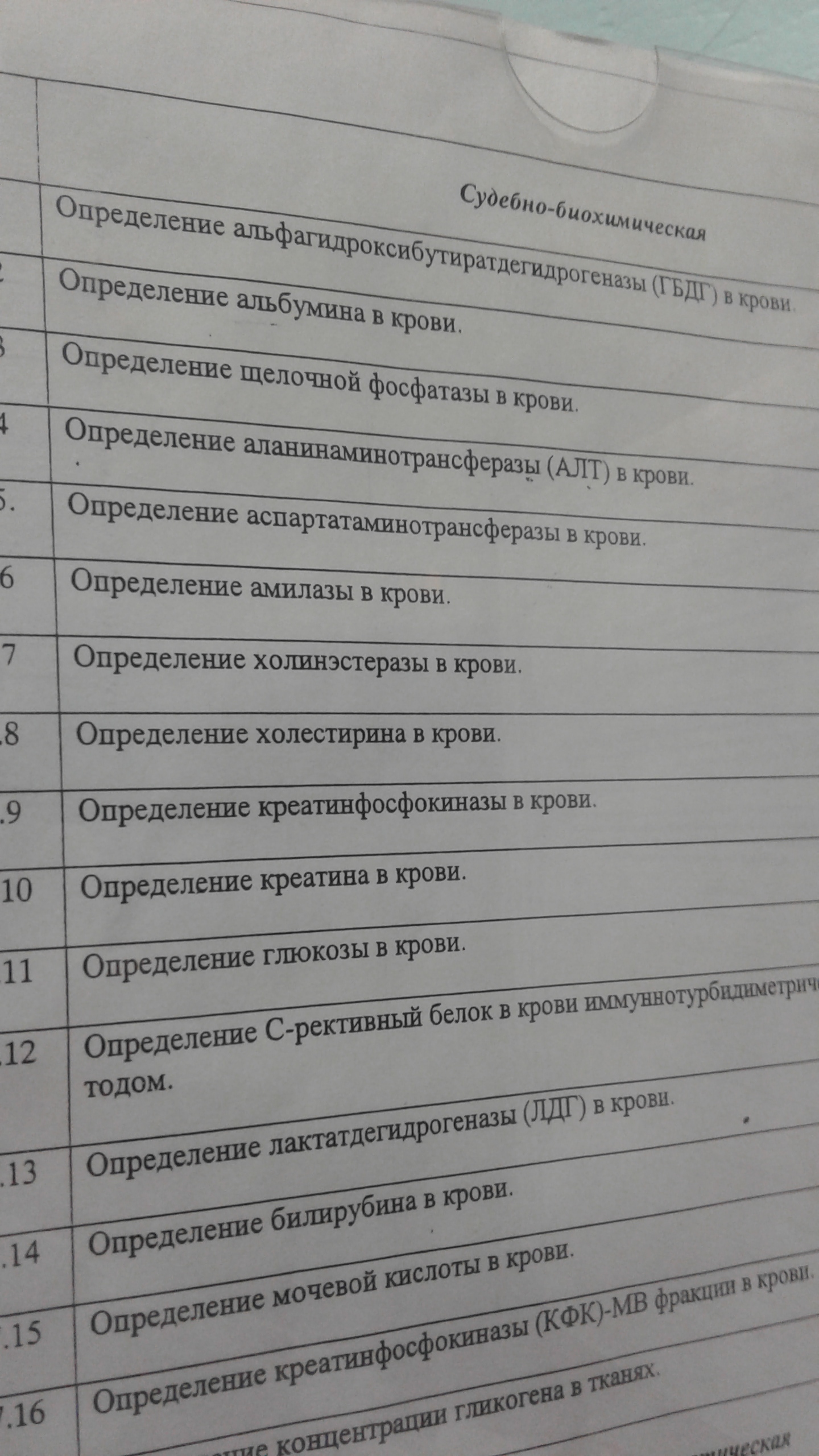 Обнаружено новое самое длинное слово в русском языке | Пикабу