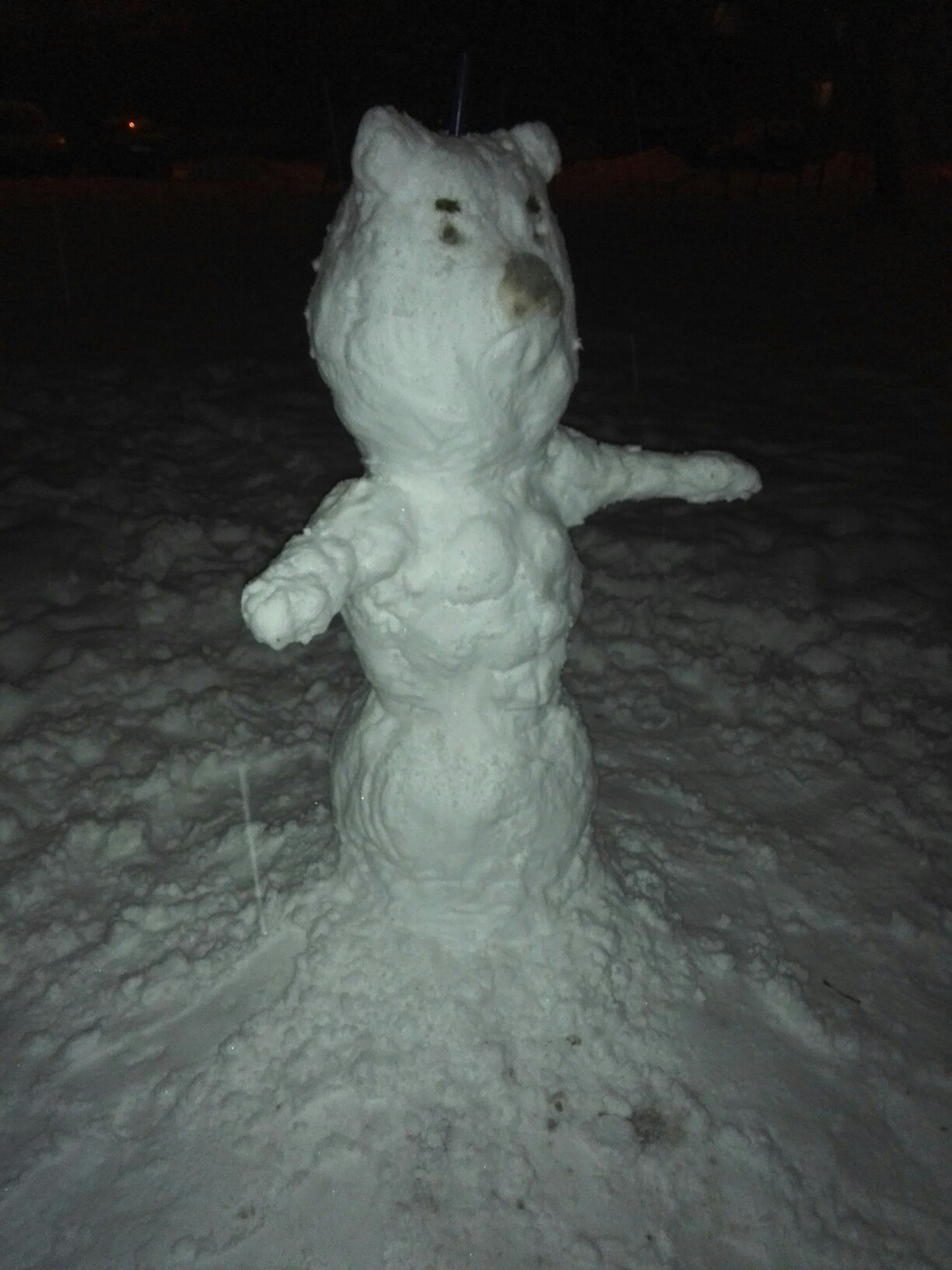 This guy almost took my cell phone away :) - My, My, snowman, Jock, Winter, Walk