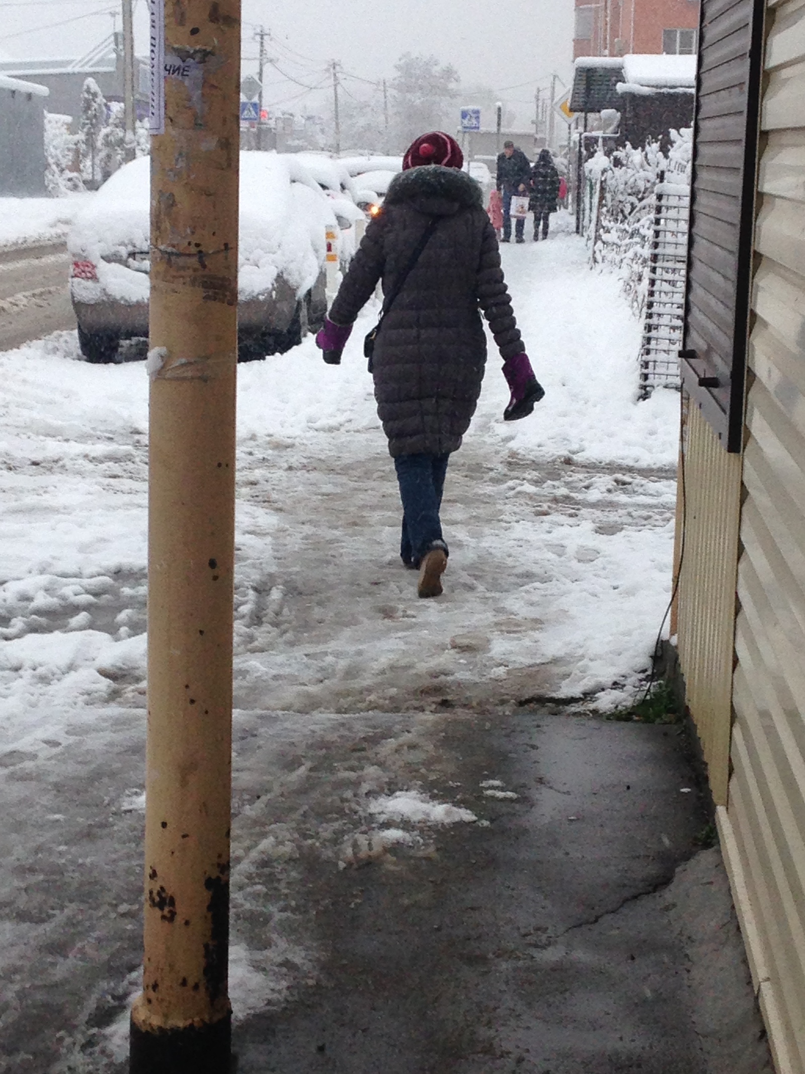 Fancy mittens - My, Boots, Morning, Winter