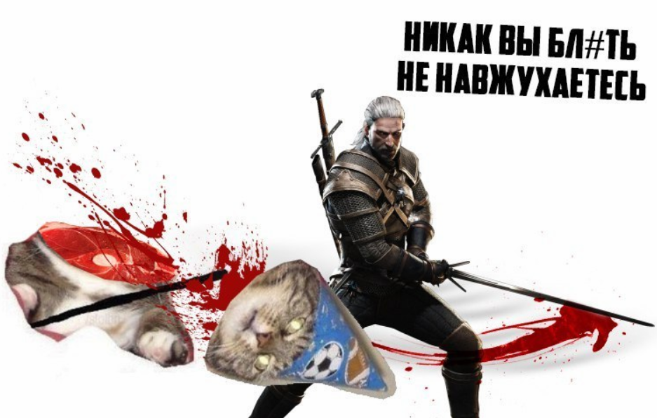 When well, very tired of this meme - Vzhuh, Geralt of Rivia, Memes, cat, Witcher