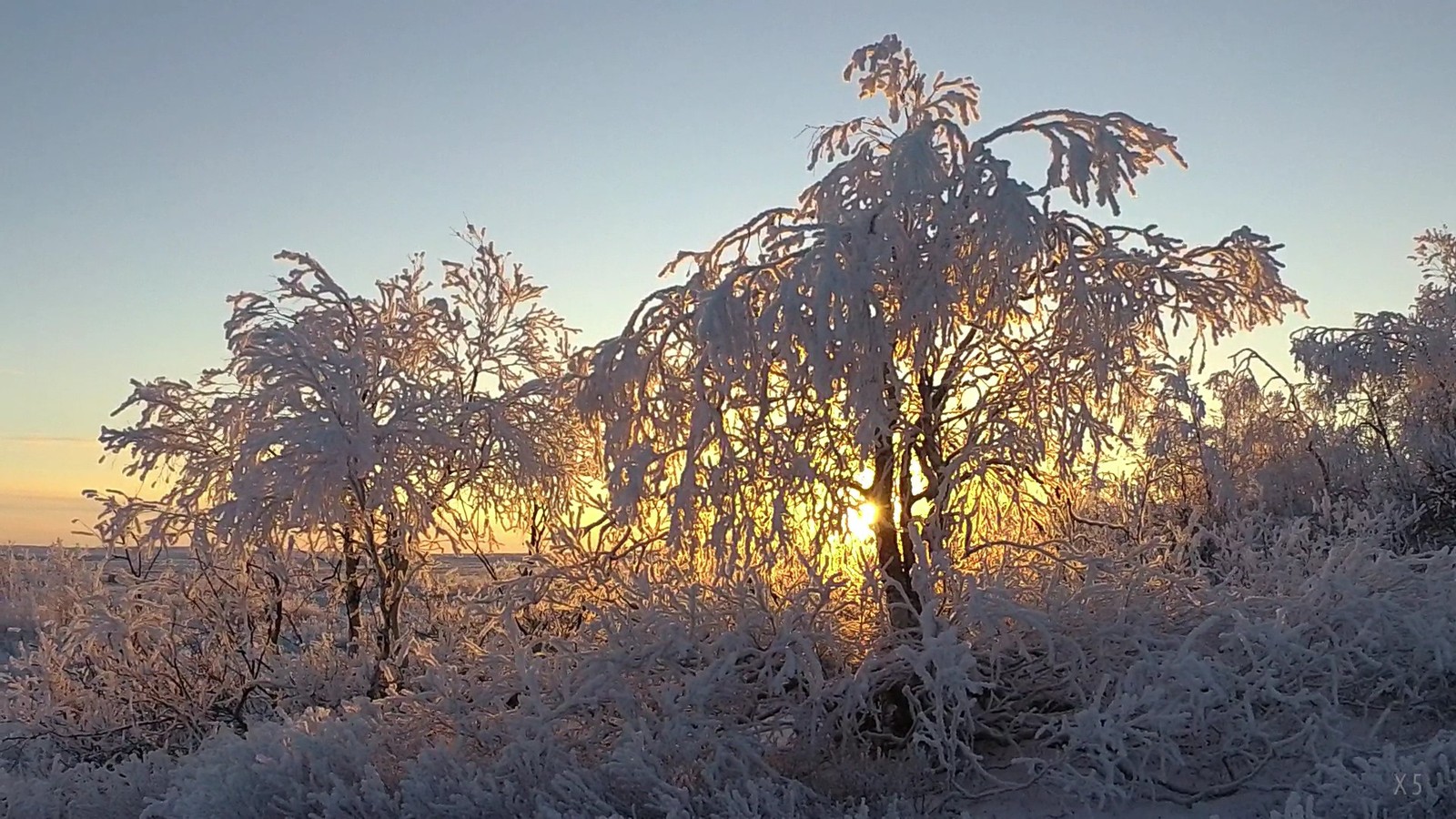 Change of seasons autumn-winter in this frosty year in the polar tundra. - My, Autumn, Winter, Nature, Tundra, freezing, Travels, Landscape, Longpost