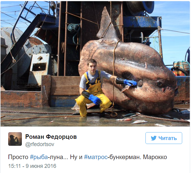 A Murmansk sailor posts photos of the strangest fish caught by his trawler. - Fisherman, Twitter, Social networks, A fish, Water, Longpost, Fishermen