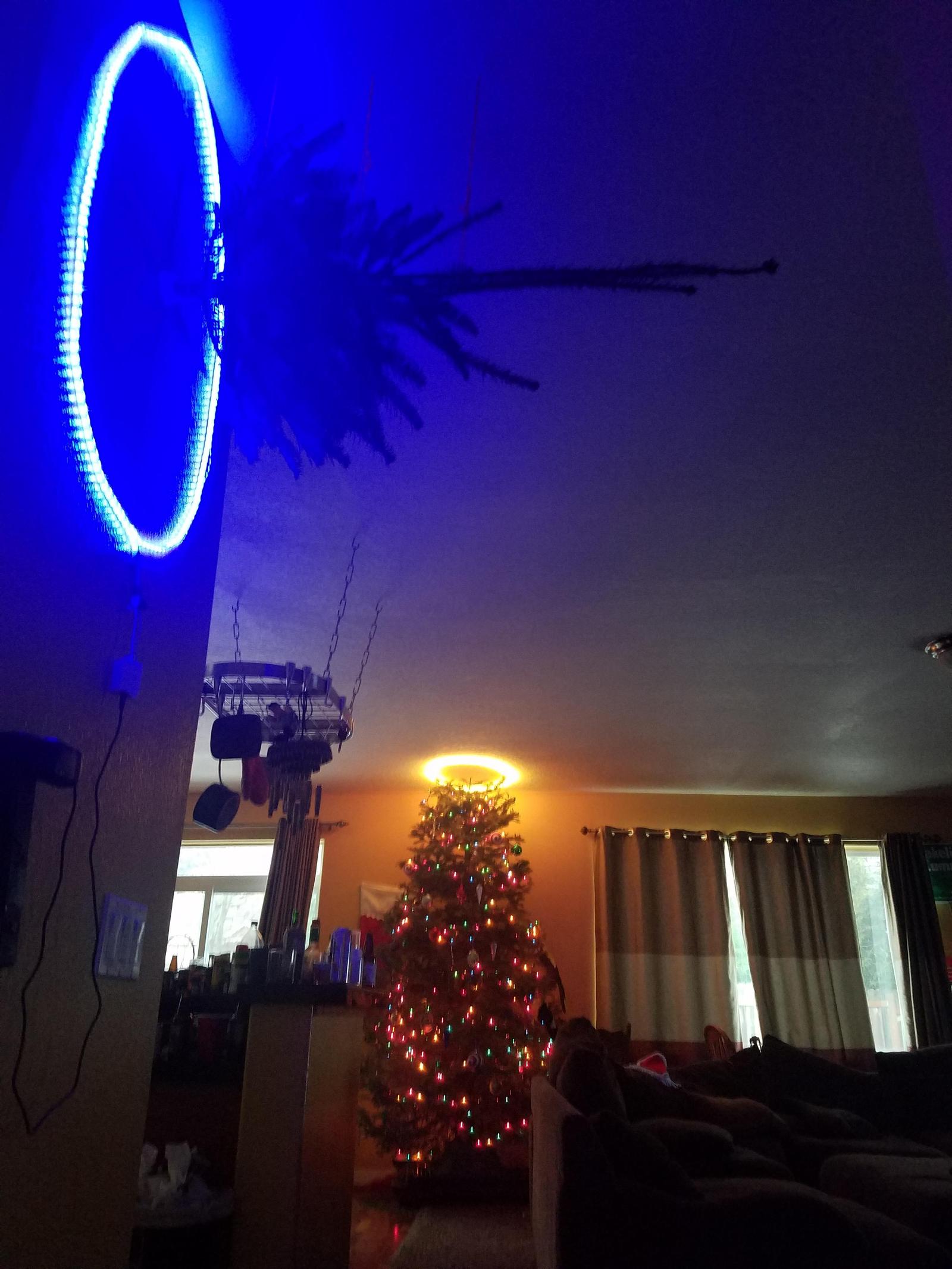 Christmas tree is a lie - Photo, Idea, New Year, Christmas trees, Portal