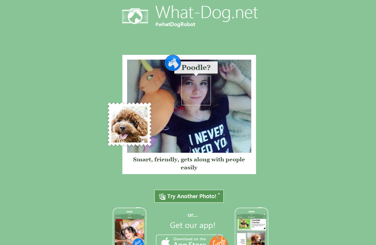 Dog Breed Website Says I'm a Dachshund - My, Humor, People, Animals, Longpost