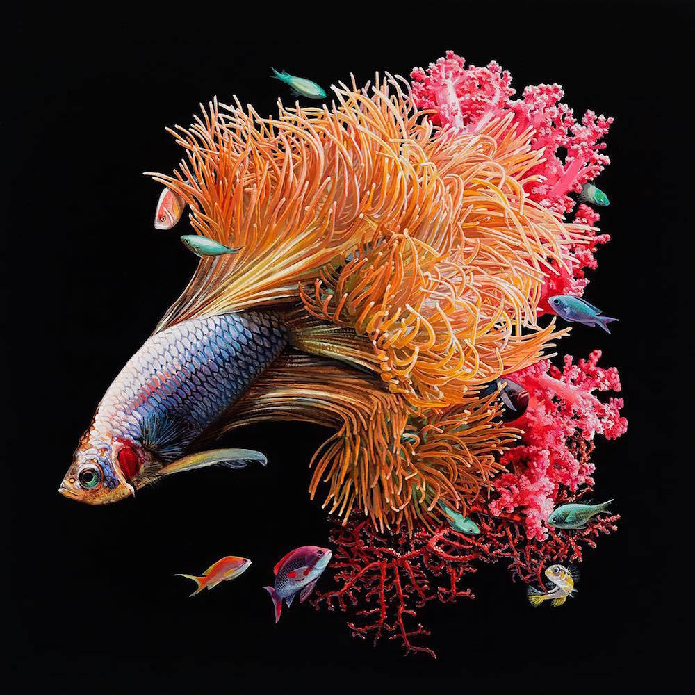 Natural surrealism in pictures Lisa Ericson. - Art, Art, Painting, Drawing, Just look, Animals, Longpost