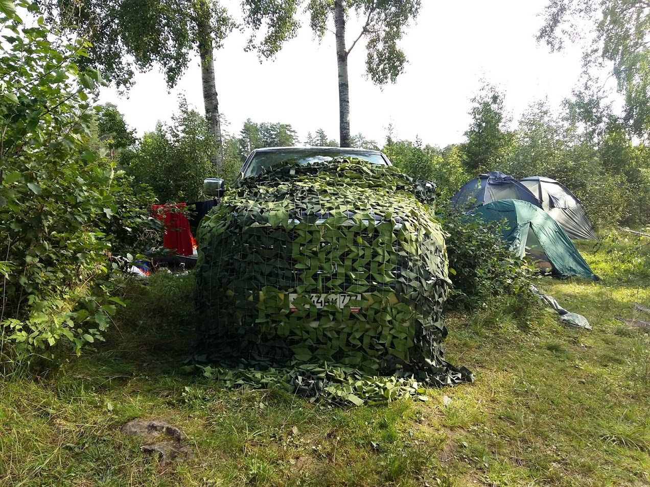 Nostalgia post about summer fishing. - My, Fishing, Shuya, Rybinsk Reservoir, Summer, Photo, Longpost