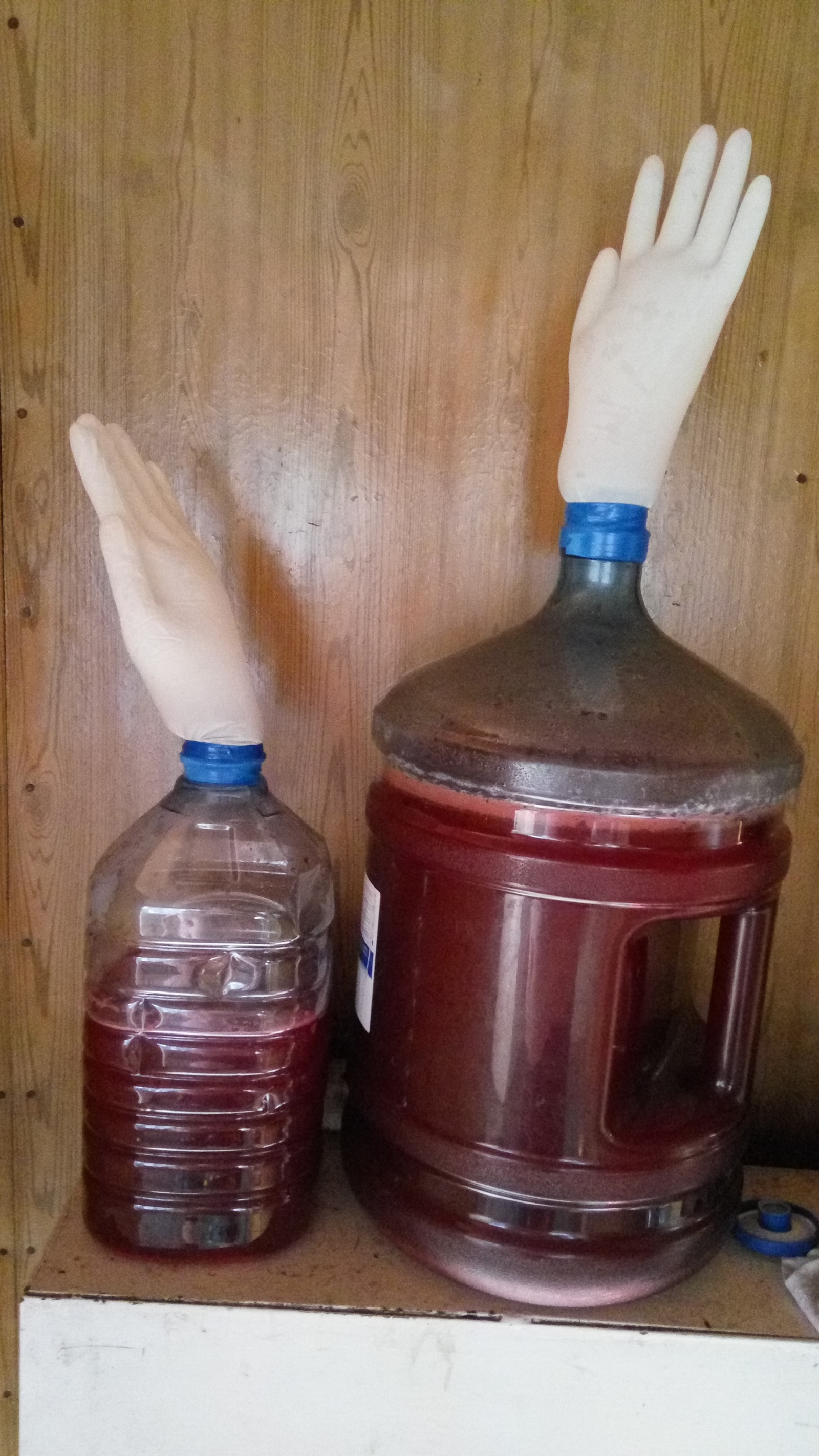 My experience of making wine at home - My, Wine, Home wine, Longpost, , My