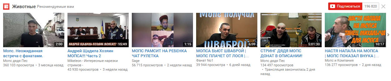 Животные на YouTube. - YouTube, Моё, Стрим, Популярное, Животные, Мопс