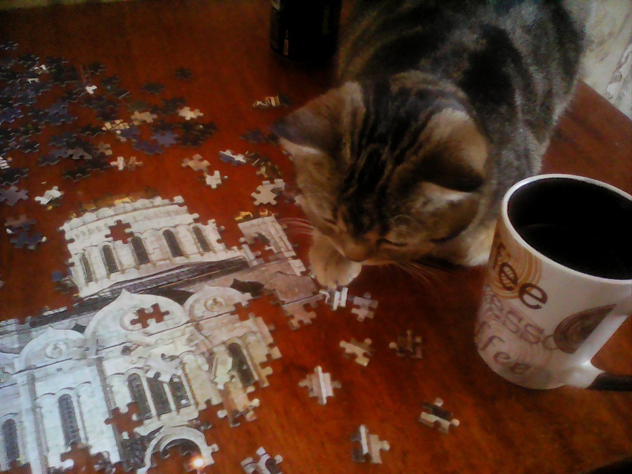 With a probability of 99 and 9 in the period %... - My, cat, Leisure, , Puzzle, 