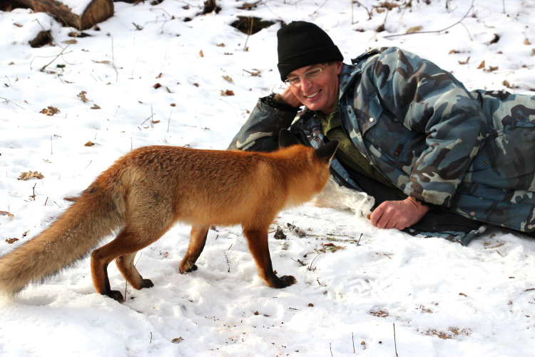 The story of the friendship between a scientist and a fox has been developed - Fox, Voronezh, Reserves and sanctuaries, Longpost