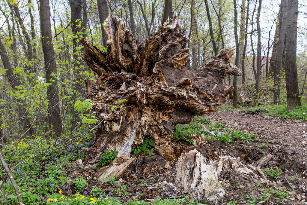 Manor Pushchino-on-Oka - My, Manor, Urbanfact, Pushchino, Moscow region, Abandoned, Longpost