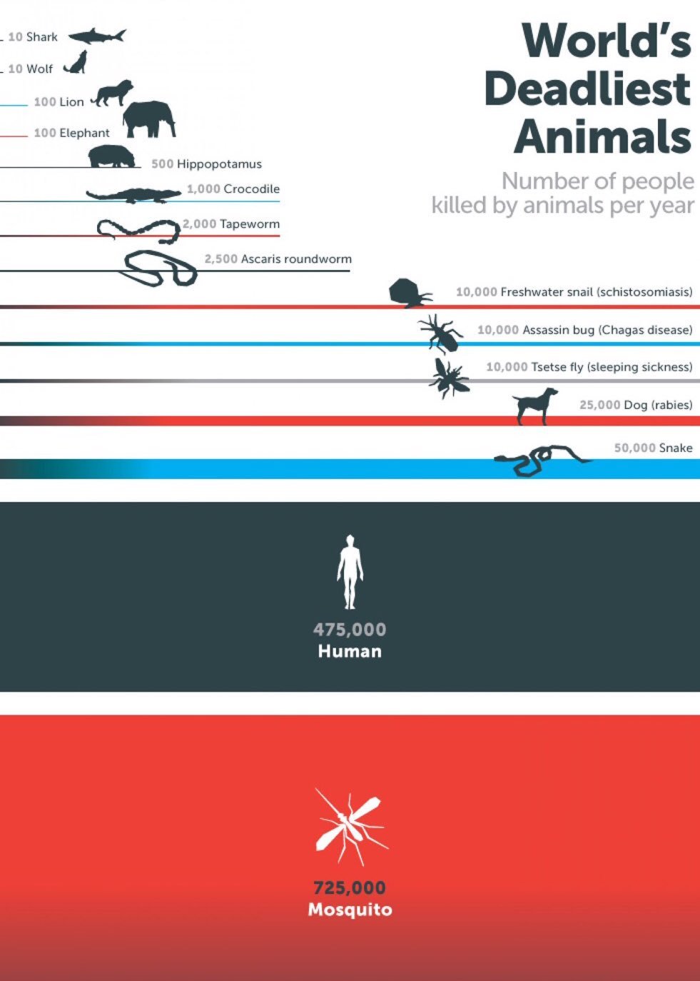 Statistics: the number of people killed by animals per year - Infographics, Statistics, Murder, Death, Animals