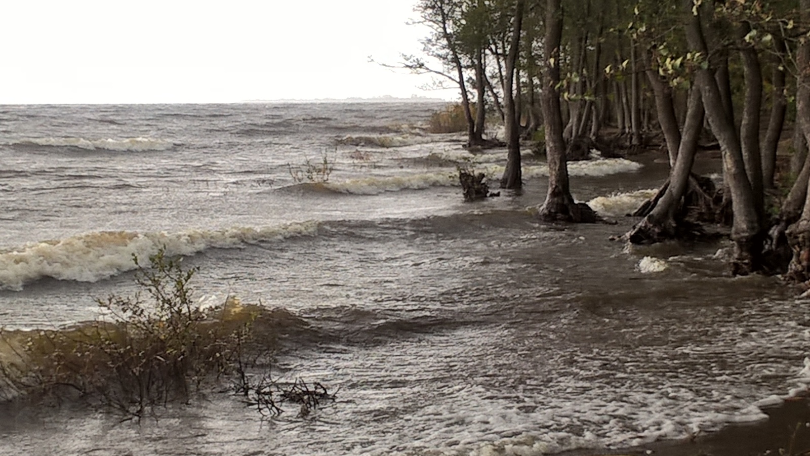 Peter, autumn, 15-20 minutes time difference) - My, Autumn, Saint Petersburg, Storm