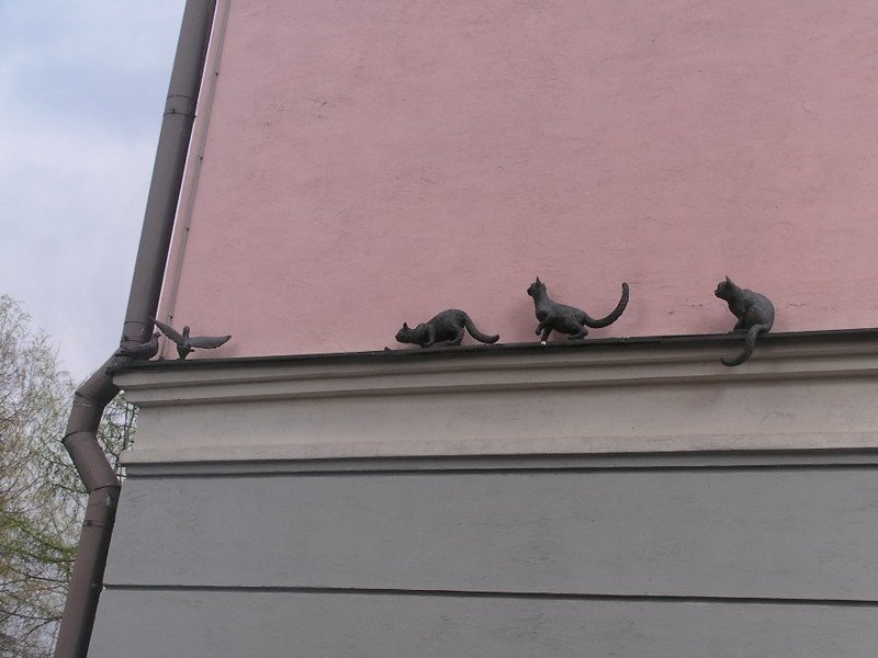 Unusual monument. - Monument, cat, Pigeon, Velikiy Novgorod