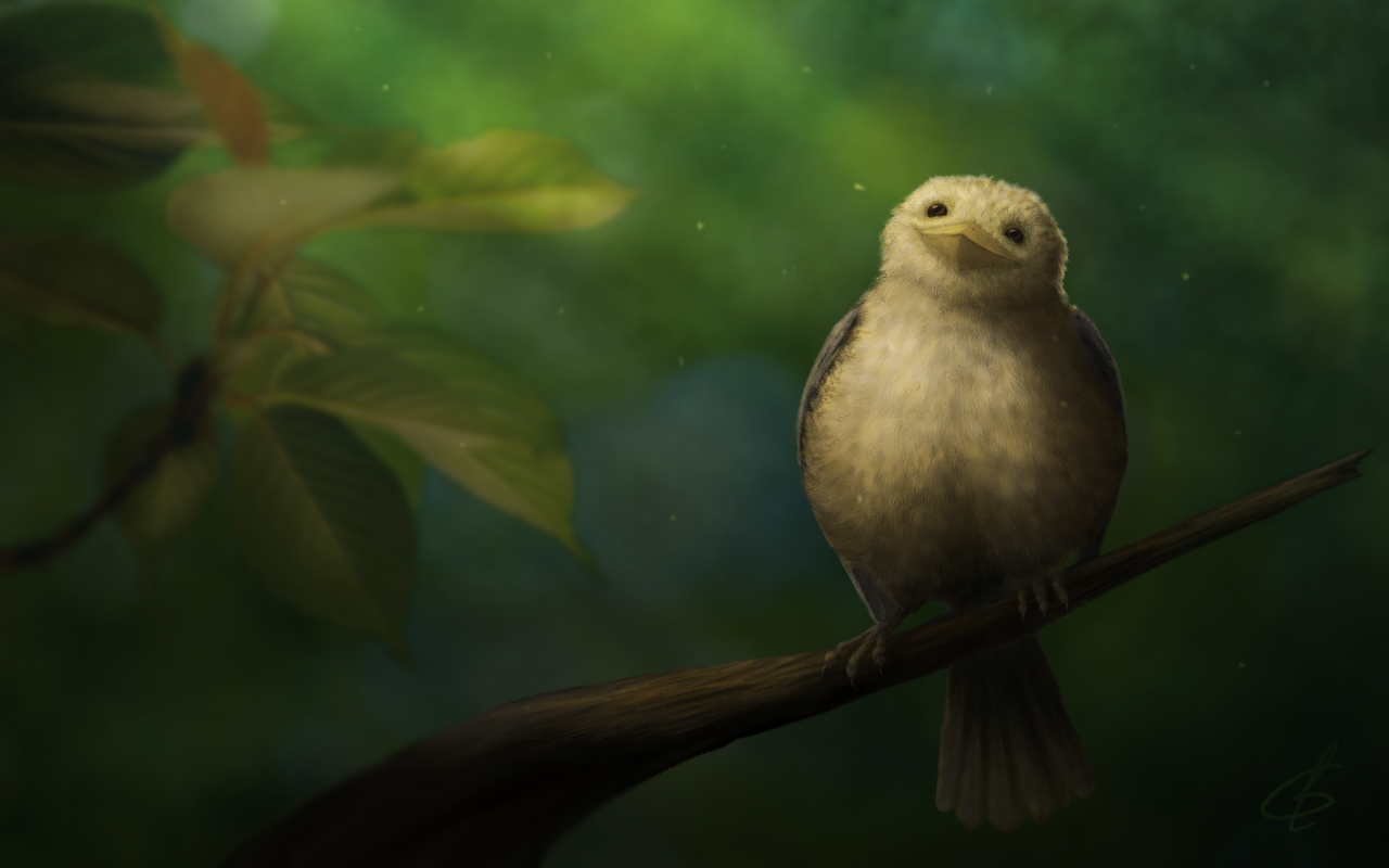 Here is a bird drawn) - My, Drawing, Digital drawing