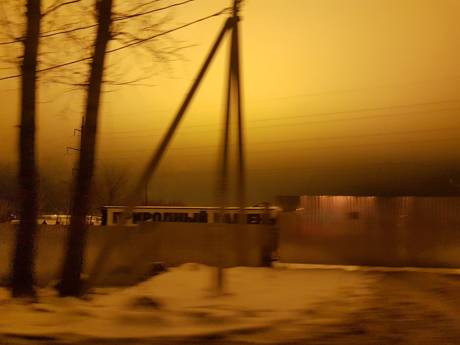 Endless day in Novoselki - My, , Greenhouse, Moscow region, , Longpost