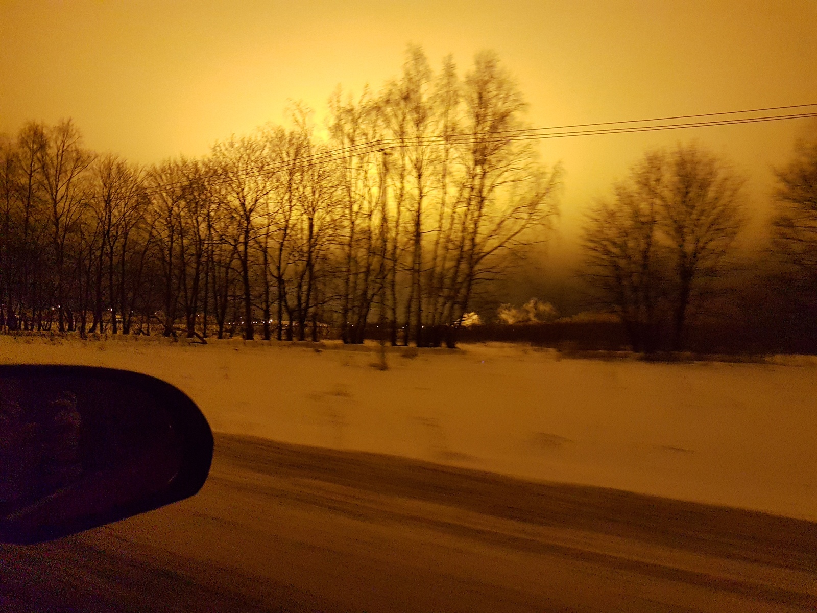 Endless day in Novoselki - My, , Greenhouse, Moscow region, , Longpost