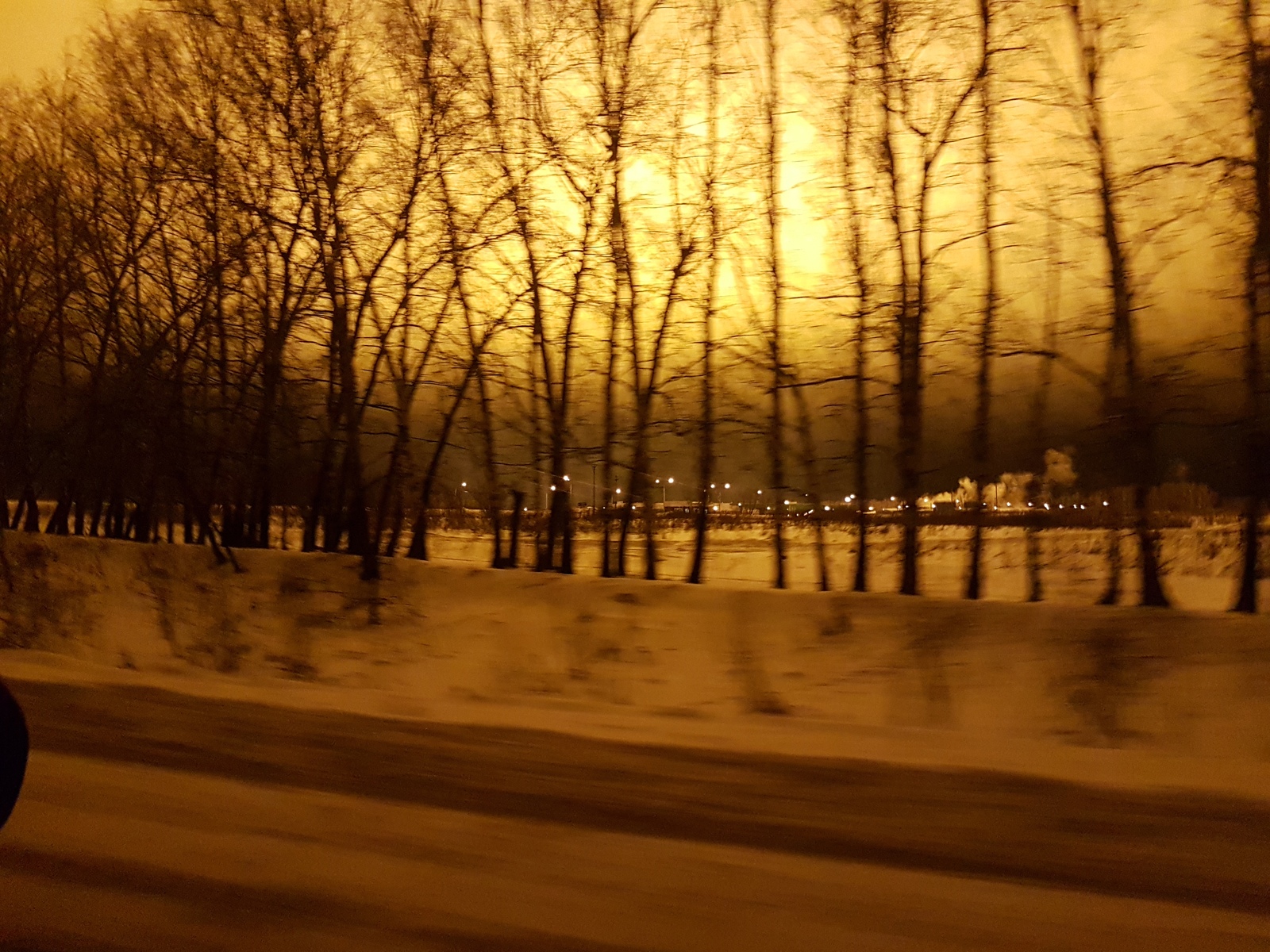 Endless day in Novoselki - My, , Greenhouse, Moscow region, , Longpost