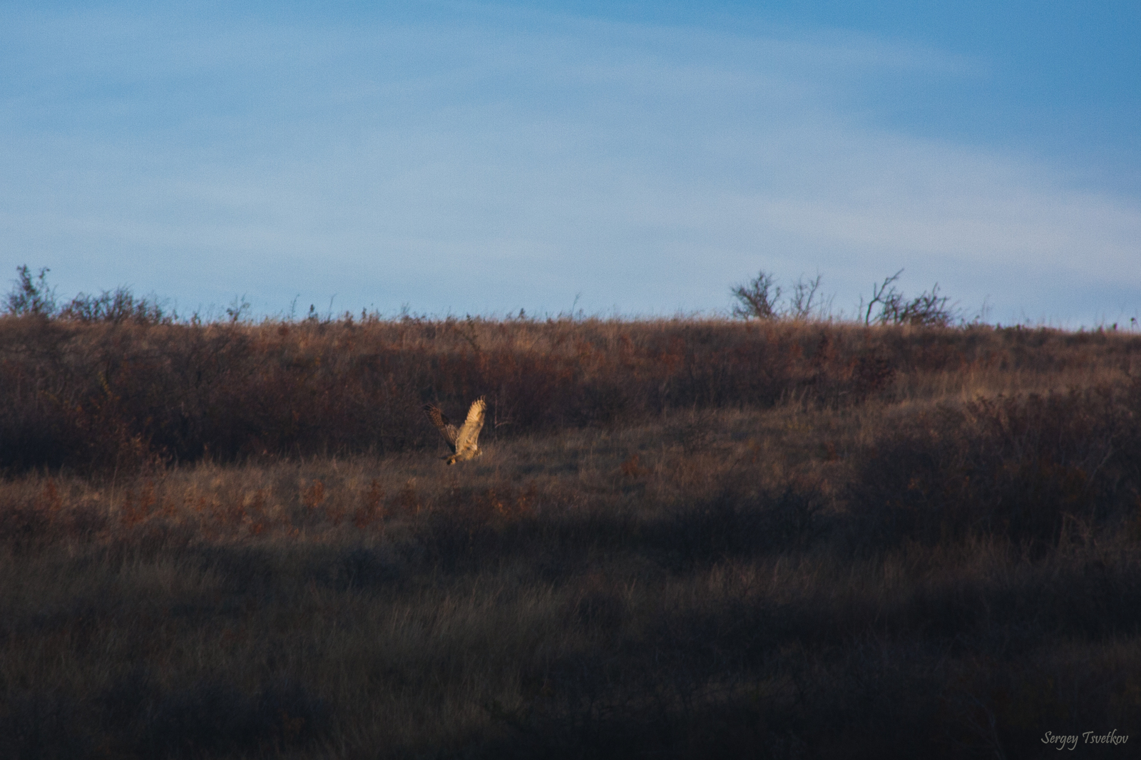 The Red Book of Russia in my photos - My, My, Longpost, Photo, The photo, Nature, Russia, Animals