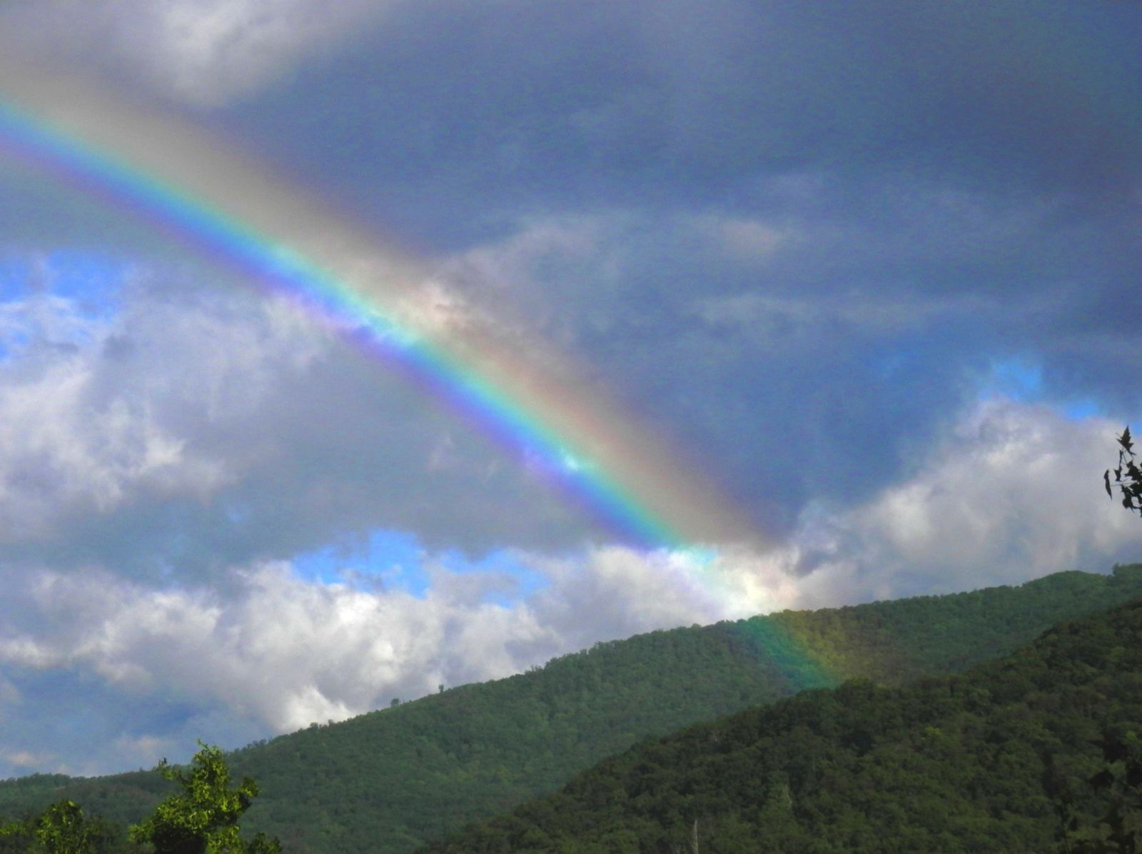 Rainbow | Пикабу