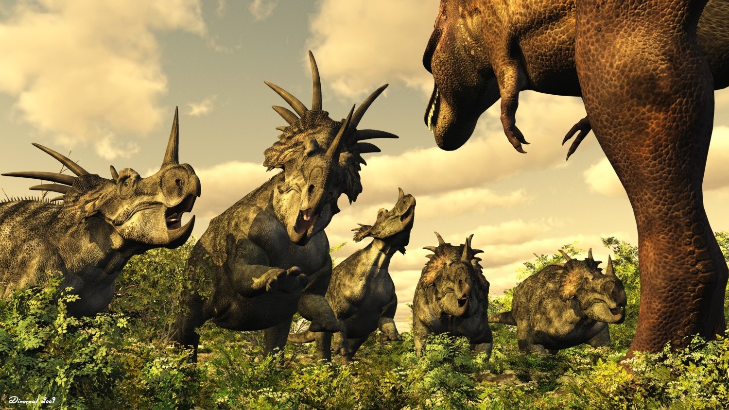 Ceratopsians are rhinos of the Mesozoic era. - My, Dinosaurs, Paleontology, , Diversity, Longpost