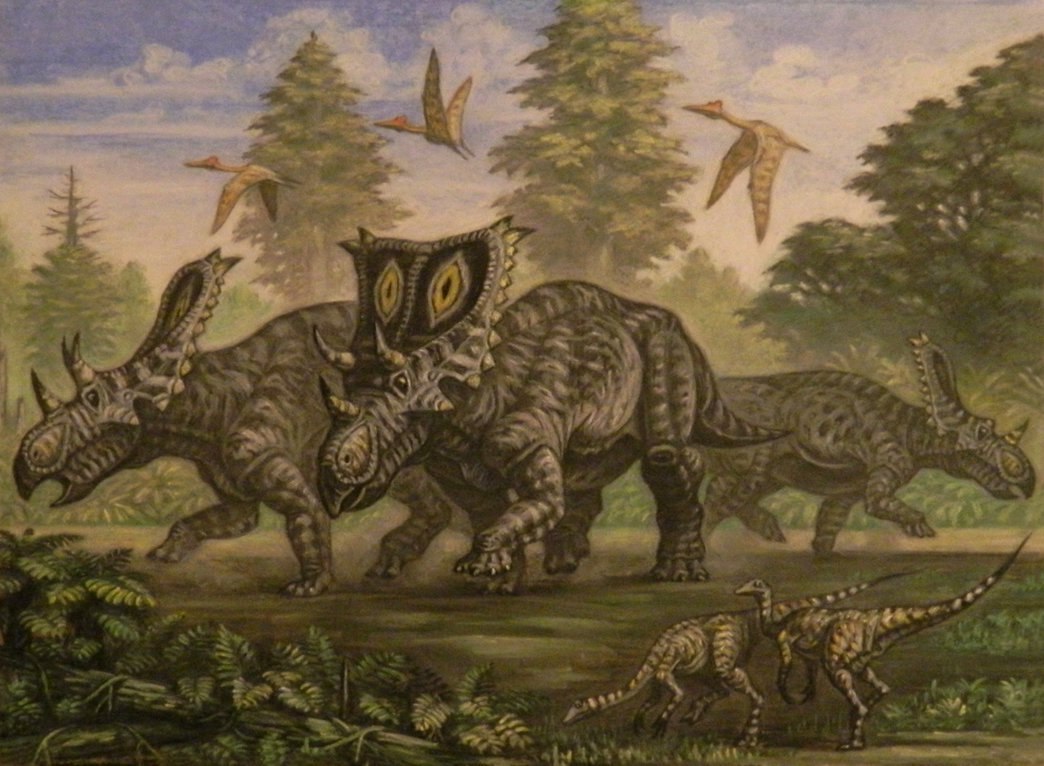 Ceratopsians are rhinos of the Mesozoic era. - My, Dinosaurs, Paleontology, , Diversity, Longpost