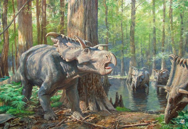 Ceratopsians are rhinos of the Mesozoic era. - My, Dinosaurs, Paleontology, , Diversity, Longpost